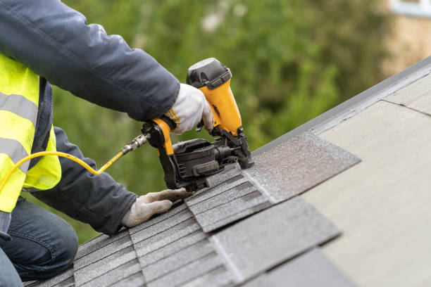 Best Roof Maintenance and Cleaning  in South Amherst, OH